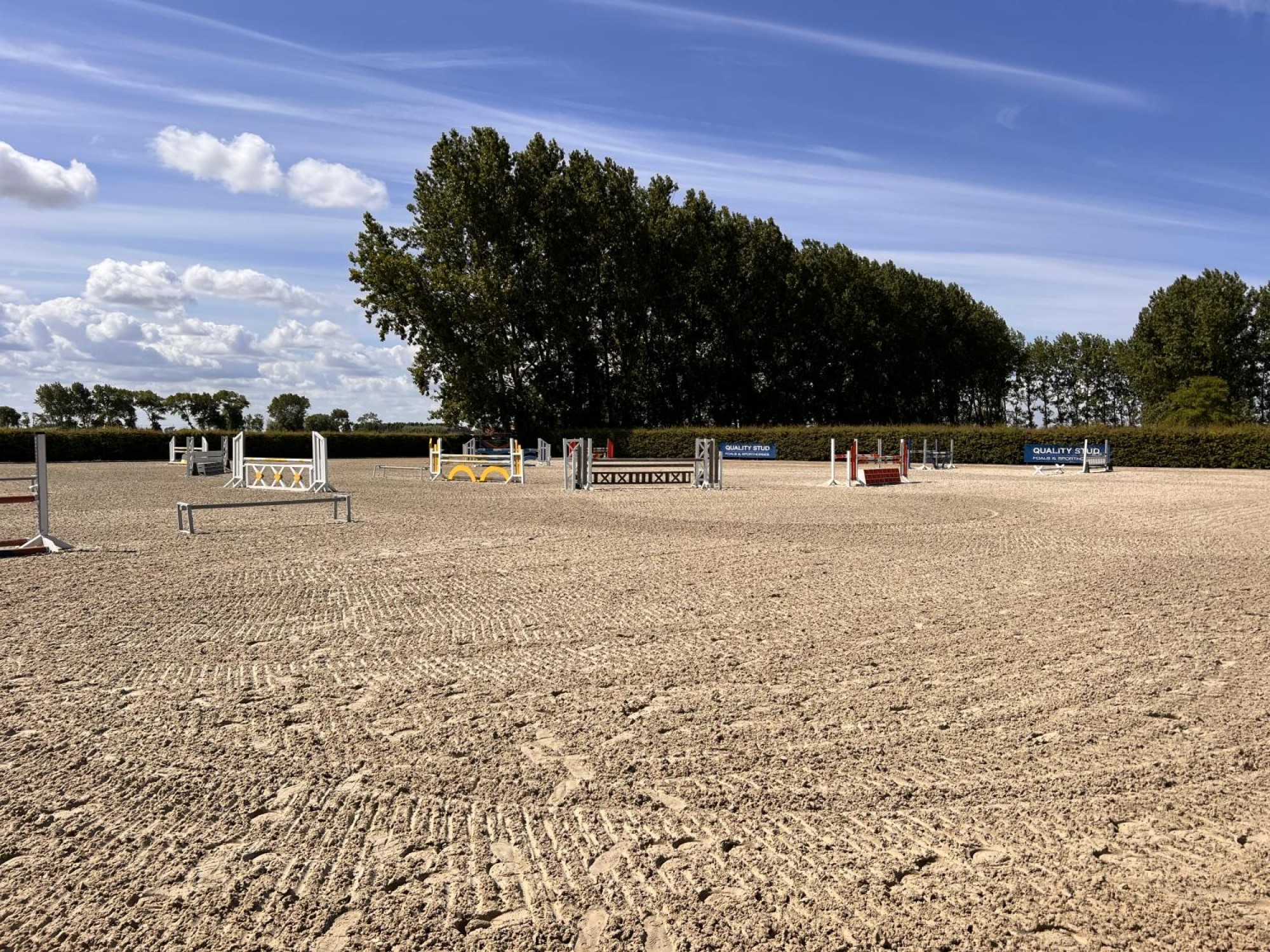 Train je eigen sportpaarden  in Belgie, het land bij uitstek voor de springsport .